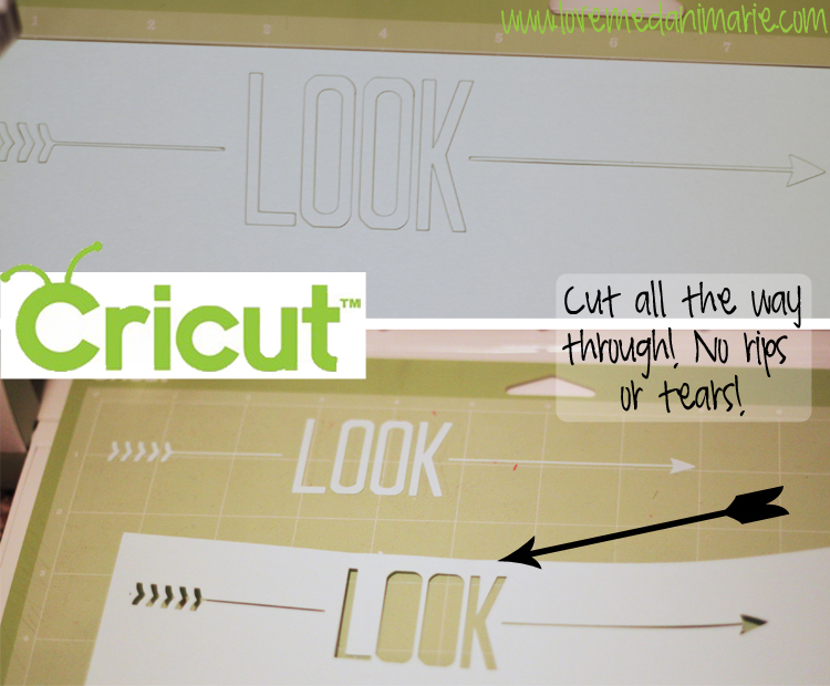 Cricut Explore Machine vs Silhouette by Utah blogger Dani Marie