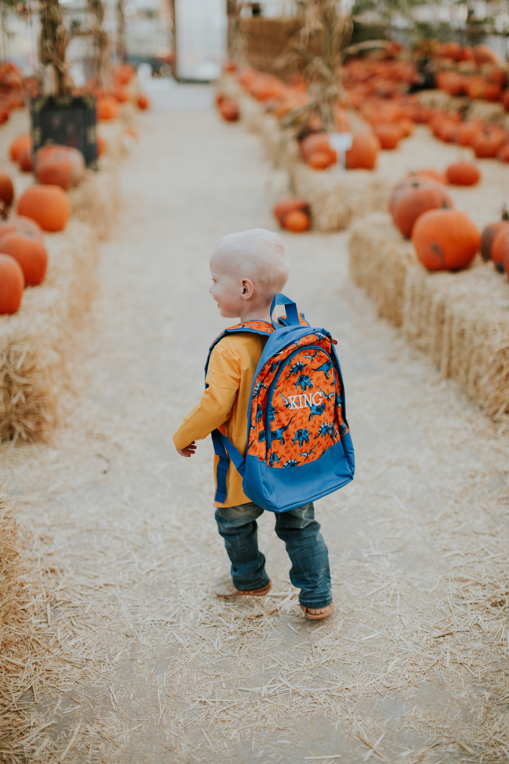 little boy running in pumpkin patch in june and january cardigan and stripe tee with dinosaur backpack