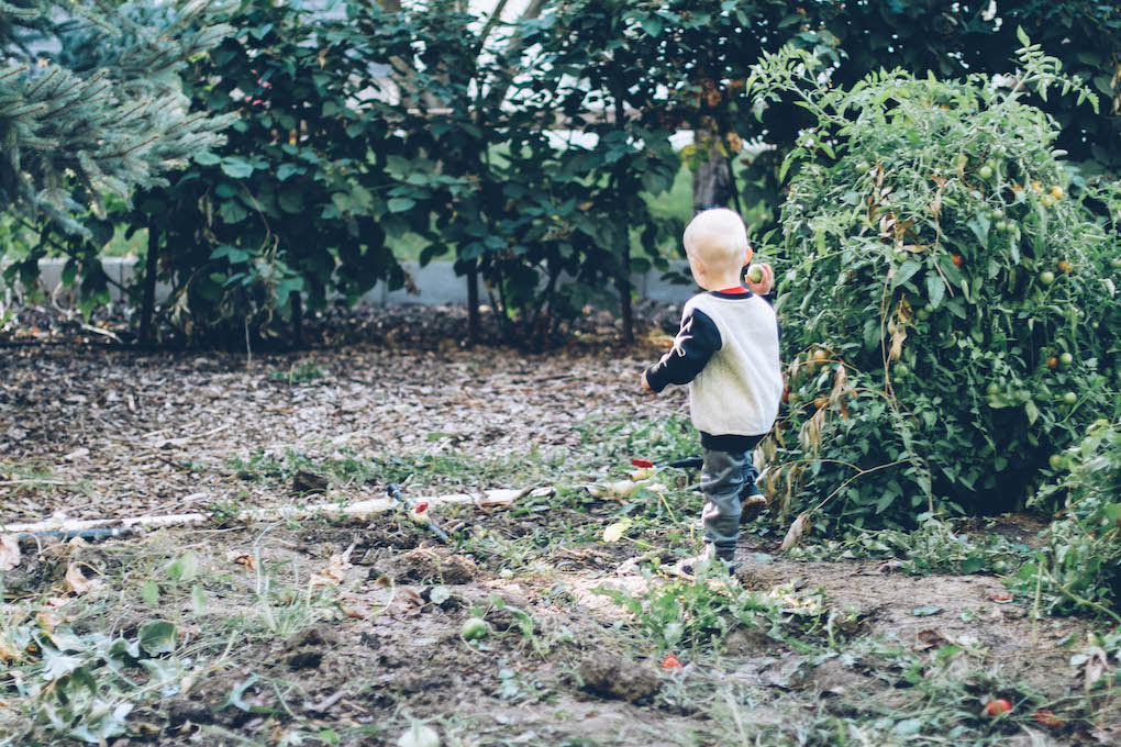 little boy working in the yard with a shovel and playing in the grass