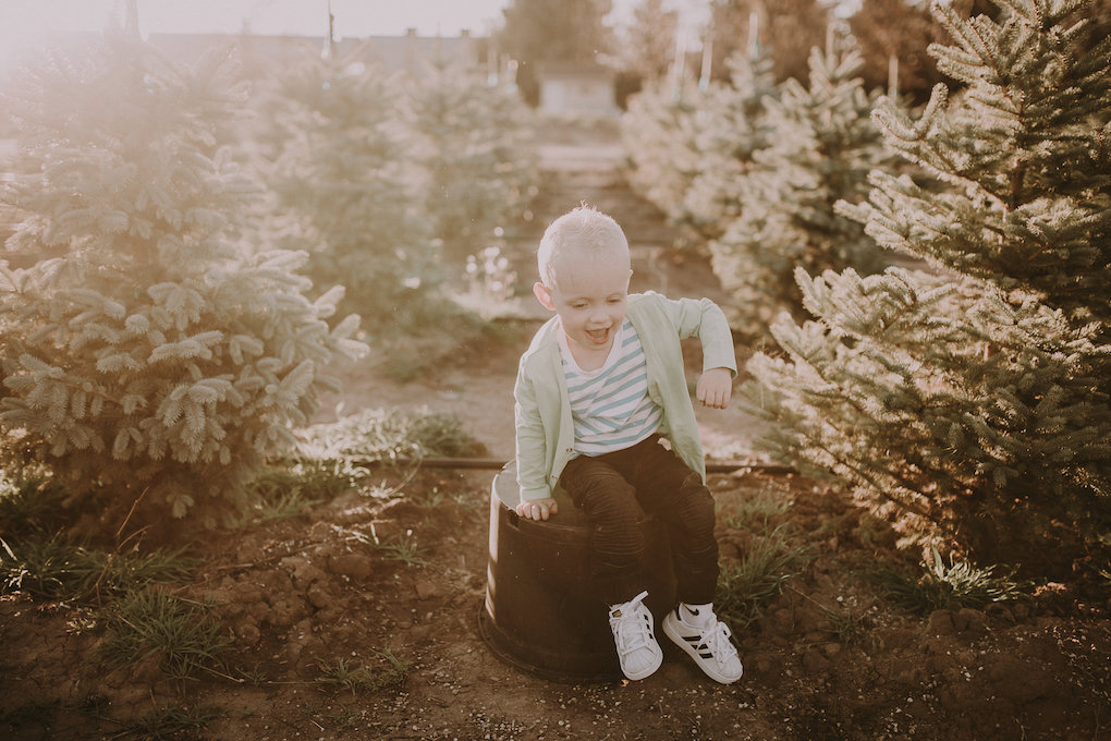 Little boy playing in June and January at the Christmas tree farm in black pants and adidas superstar shoes