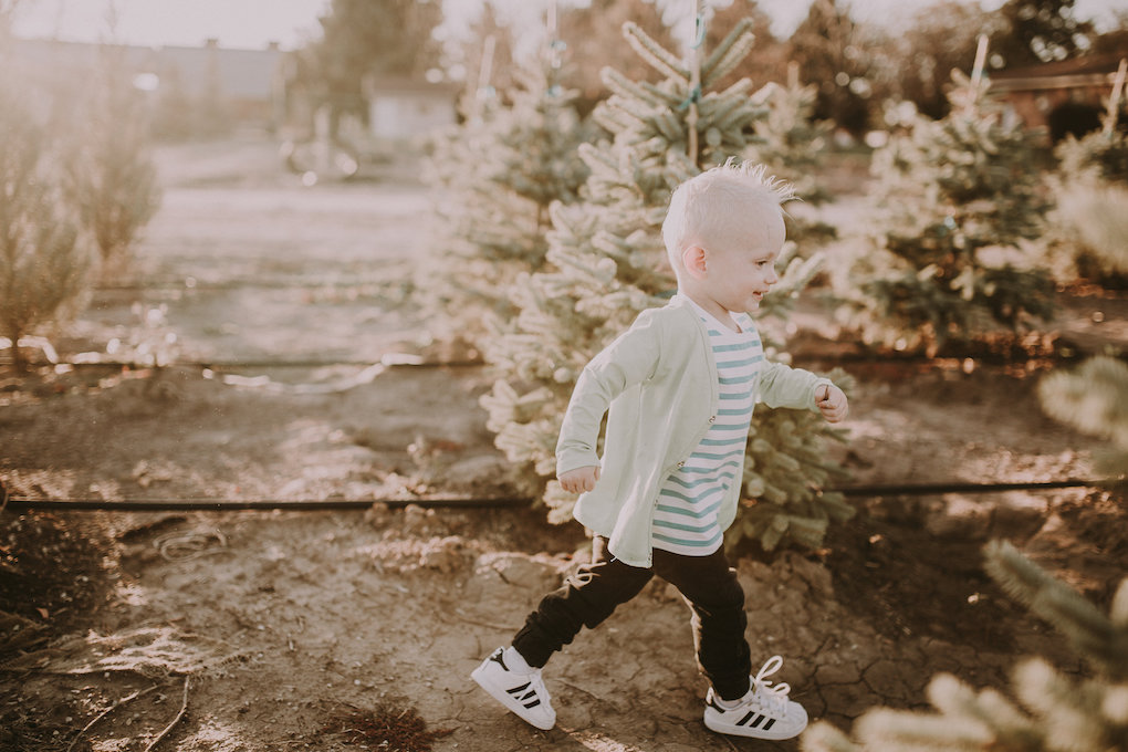 Little boy playing in June and January at the Christmas tree farm in black pants and adidas superstar shoes