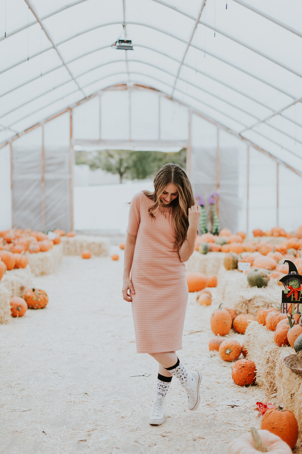 girl in quilted pink dress with tall glasses socks and converse on standing at pumpkin patch with loosely curled brown hair