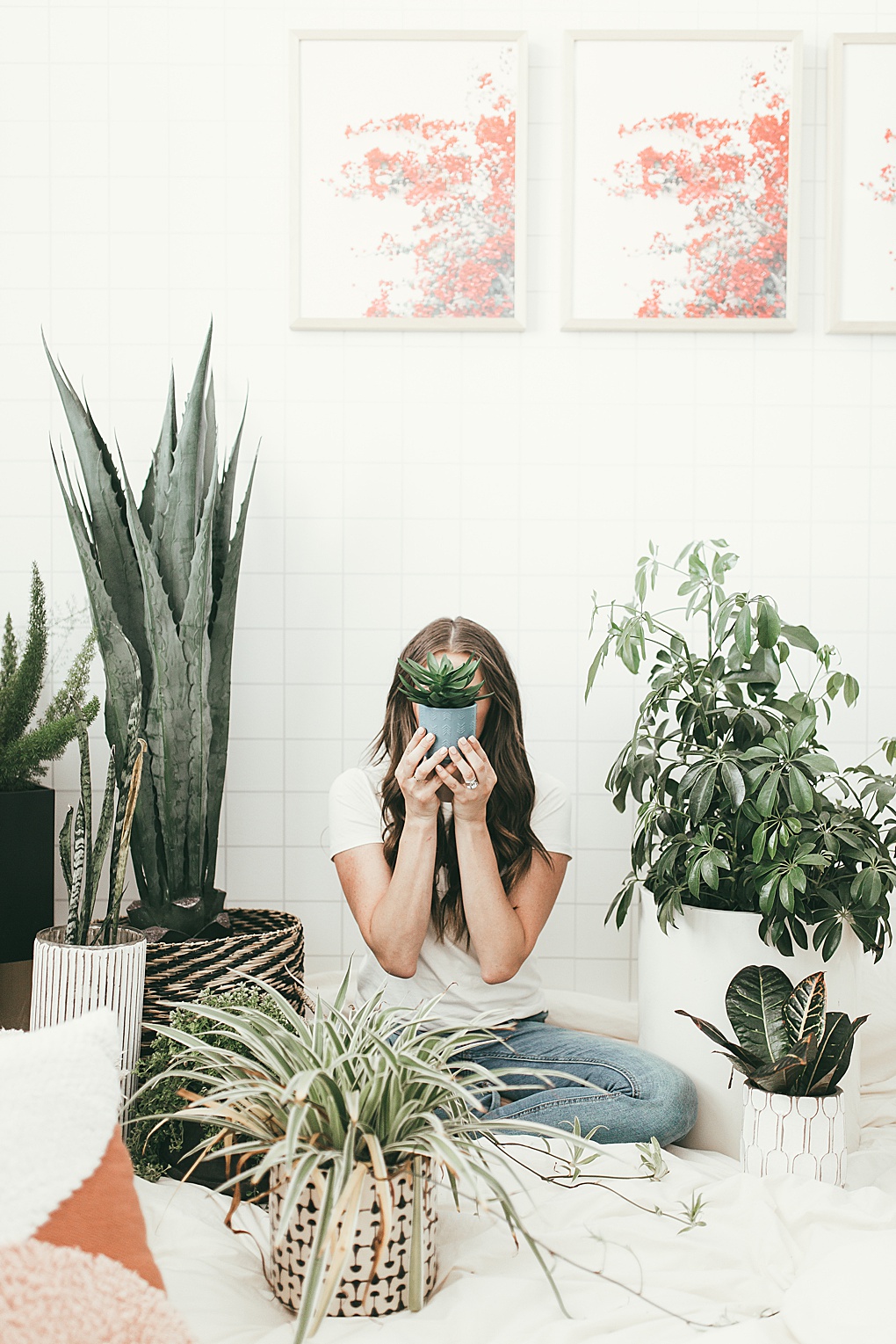 Looking for the best house plants? Utah Style Blogger Dani Marie is sharing her favorite house plants that anyone can have. Click to see them here!