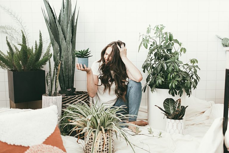 My Favorite House Plants Dani Marie Blog